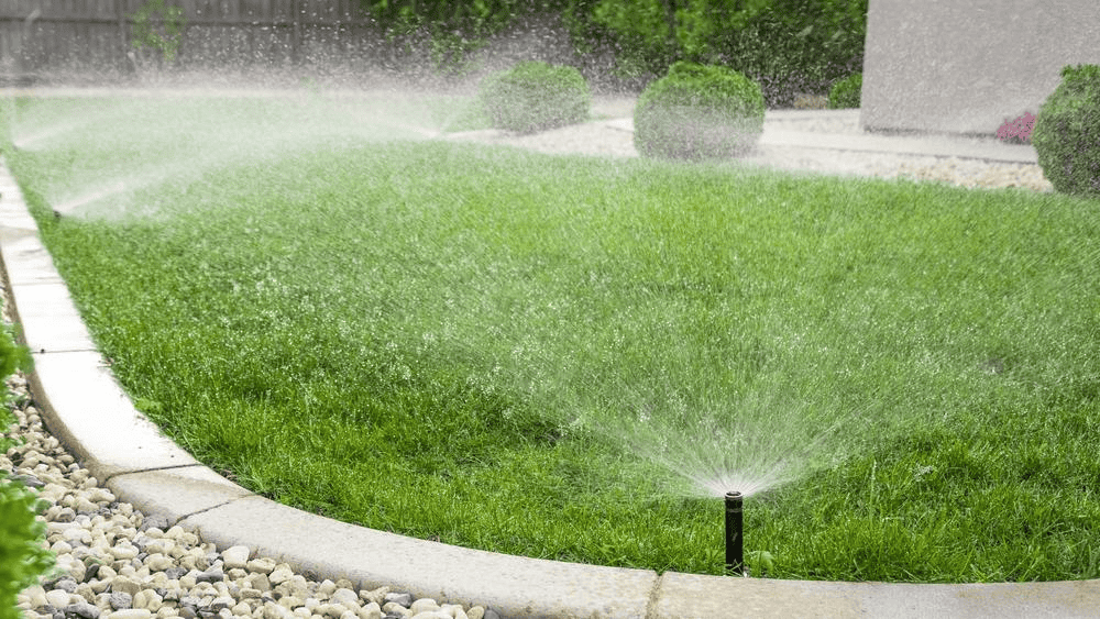 A green lawn is being watered by automatic sprinklers. Water sprays in arcs across the grass, bordered by a stone path and landscaping rocks, with trimmed bushes in the background.