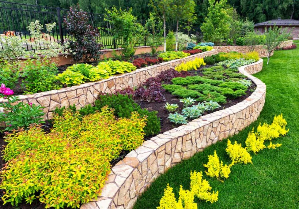 A landscaped garden by Laurelhurt Landscape Company with tiered stone retaining walls, vibrant green shrubs, yellow and red plants, and neatly manicured grass, surrounded by trees and a black metal fence.