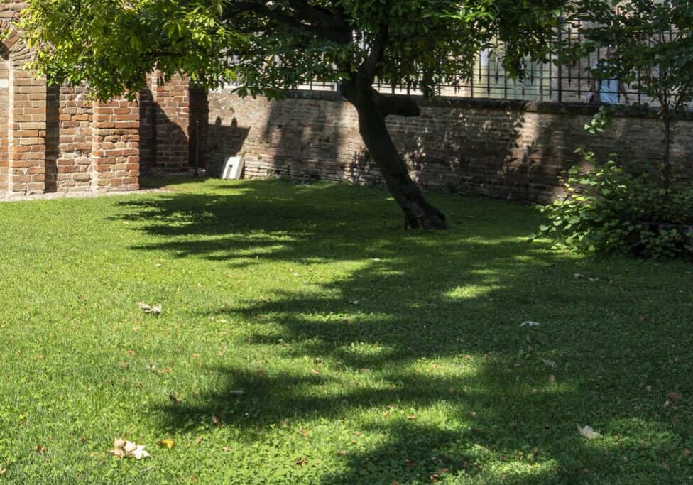 A leafy tree casts a large shadow on a grassy lawn bordered by a brick wall and arched entryway. Sunlight filters through the tree, creating a peaceful scene crafted by a skilled Ravenna Landscaper, with scattered leaves lying on the grass.